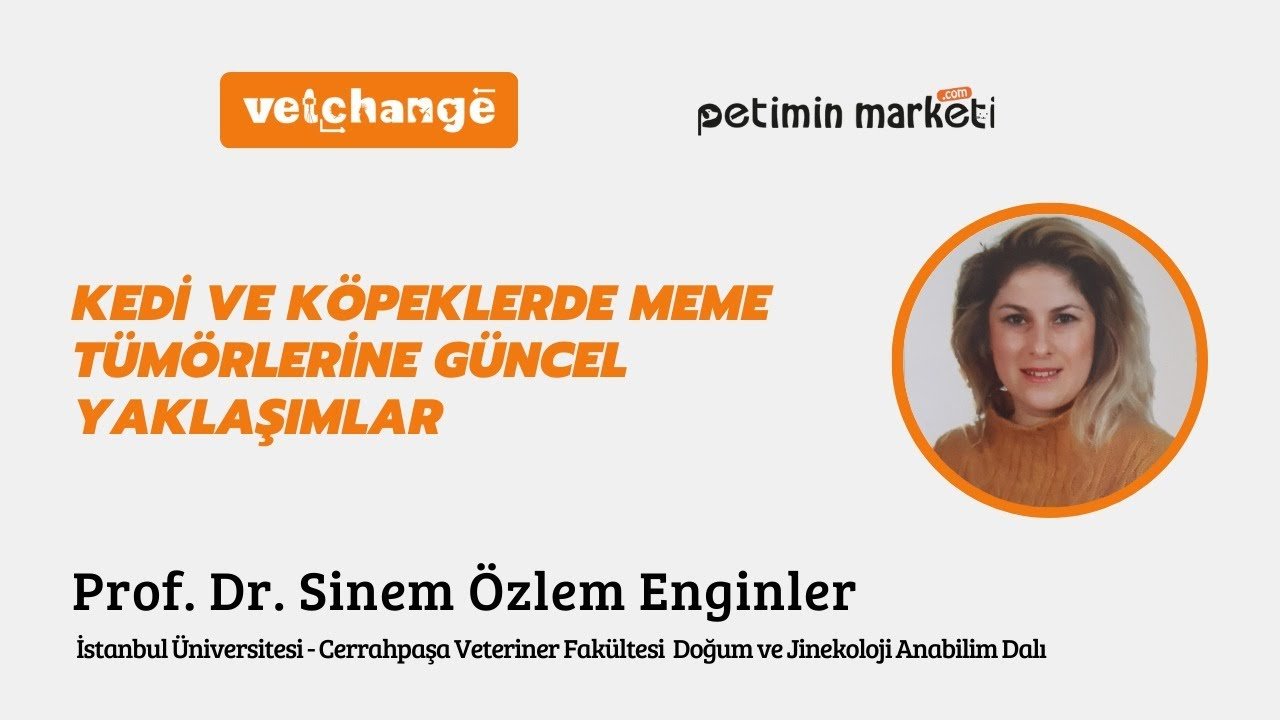 "Kedi ve Köpeklerde Meme Tümörlerine Güncel Yaklaşımlar" Prof. Dr. Sinem Özlem Enginler